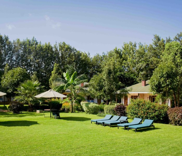 bougainvillea safari lodge8
